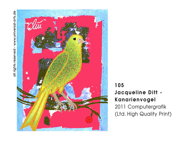 Jacqueline Ditt - Kanarienvogel  (Canary Bird)