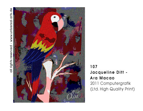 Jacqueline Ditt - Ara Macao (Macaw)