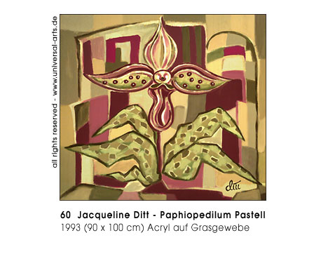 Jacqueline Ditt - Paphiopedilum Pastell