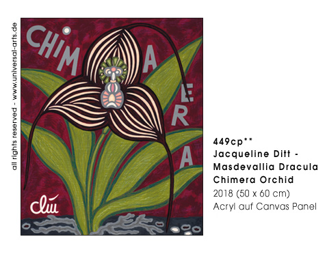 Jacqueline Ditt - Masdevallia Dracula Chimera Orchid (Masdevallia Dracula Chimera Orchidee)