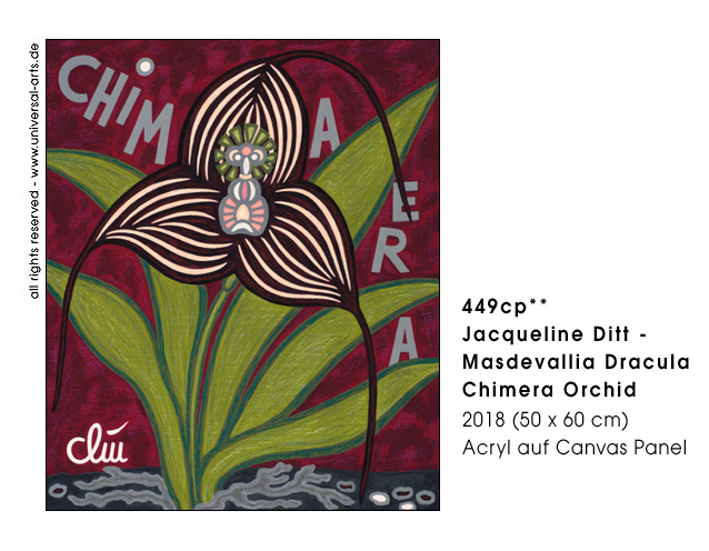 Jacqueline Ditt - Masdevallia Dracula Chimera Orchid (Masdevalia Dracula Chimera Orchidee)