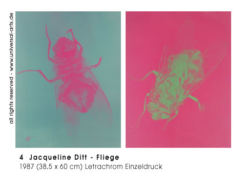 Jacqueline Ditt - Fliege (Fly)