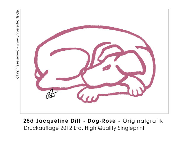 Jacqueline Ditt - Dog - Rose (Hund - Rosa)