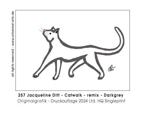 Jacqueline Ditt - Catwalk - remix - Darkgrey