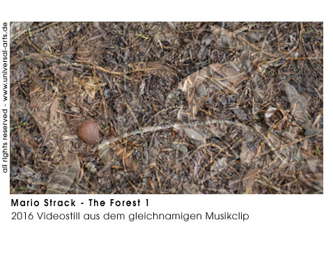 Mario Strack The Forest 1