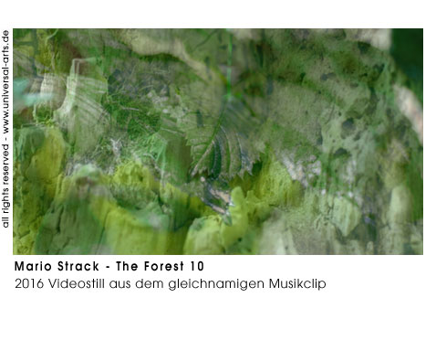 Mario Strack The Forest 10
