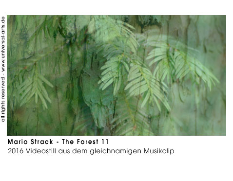Mario Strack The Forest 11