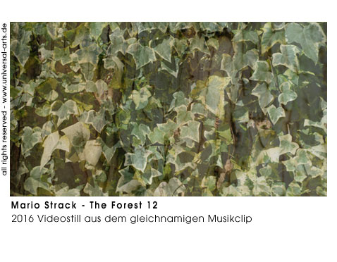 Mario Strack The Forest 12