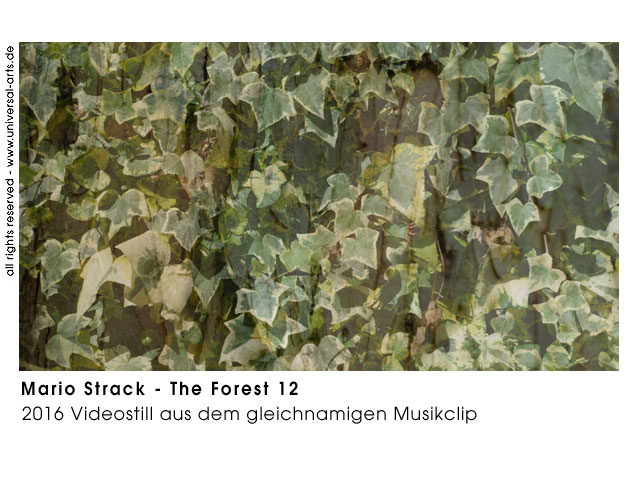 Mario Strack The Forest 12
