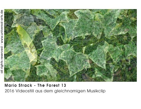 Mario Strack The Forest 13