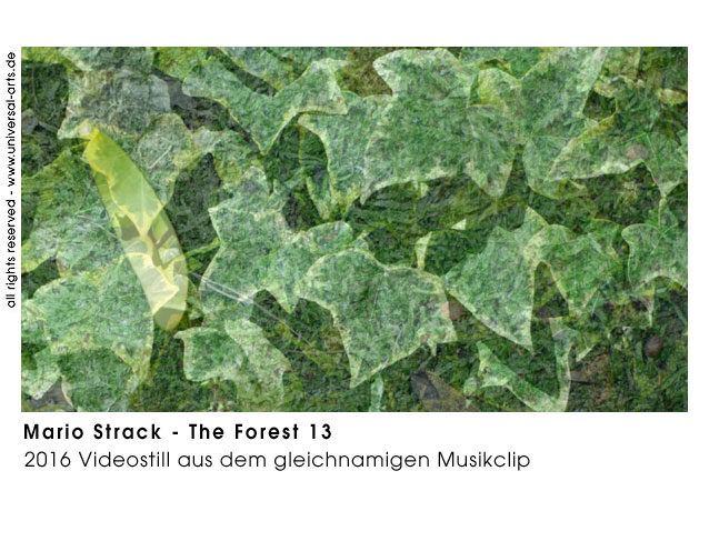 Mario Strack The Forest 13