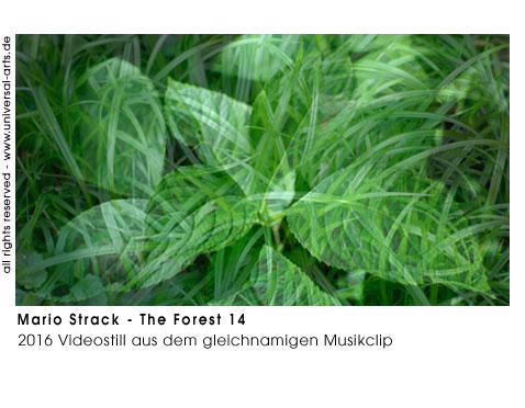 Mario Strack The Forest 14