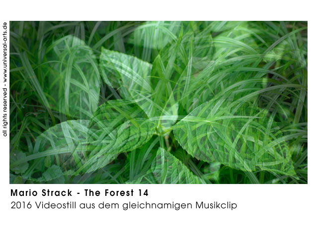 Mario Strack The Forest 14