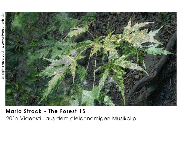 Mario Strack The Forest 15
