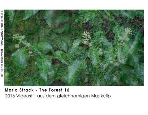 Mario Strack The Forest 16