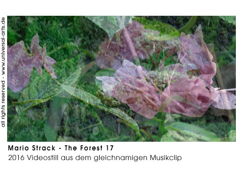 Mario Strack The Forest 17