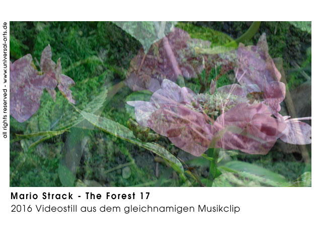 Mario Strack The Forest 17