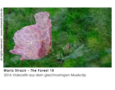 Mario Strack The Forest 18