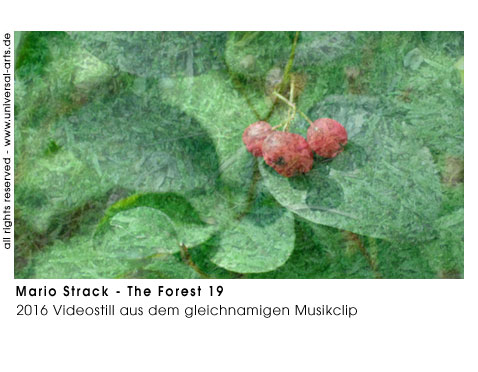 Mario Strack The Forest 19