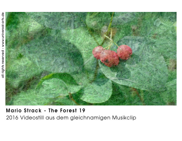 Mario Strack The Forest 19