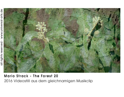 Mario Strack The Forest 20