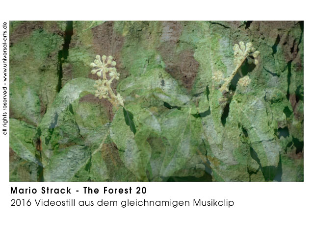 Mario Strack The Forest 20