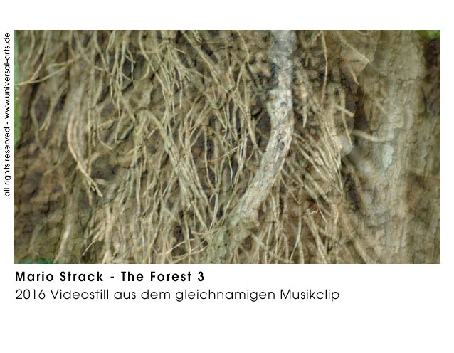 Mario Strack The Forest 3
