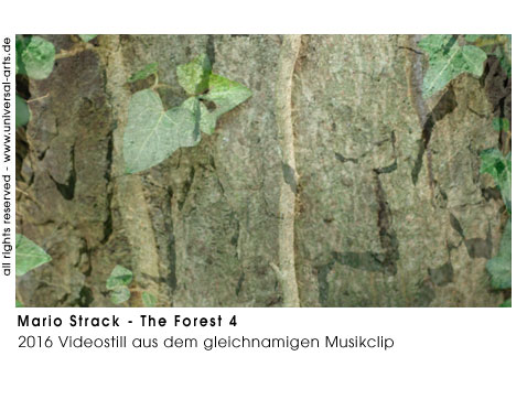 Mario Strack The Forest 4