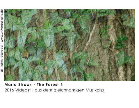 Mario Strack The Forest 5