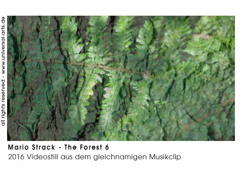 Mario Strack The Forest 6