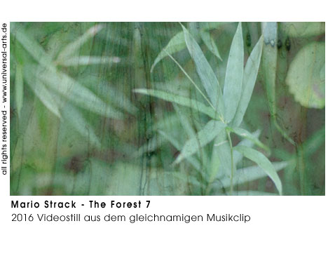 Mario Strack The Forest 7