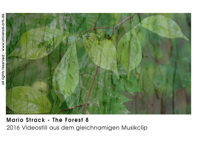 Mario Strack The Forest 8