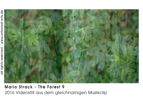 Mario Strack The Forest 9
