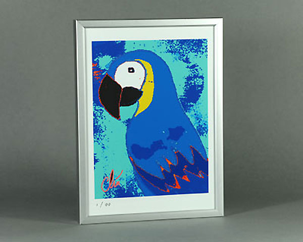 Jacqueline Ditt - Blue Parrot (Blauer Papagei)
